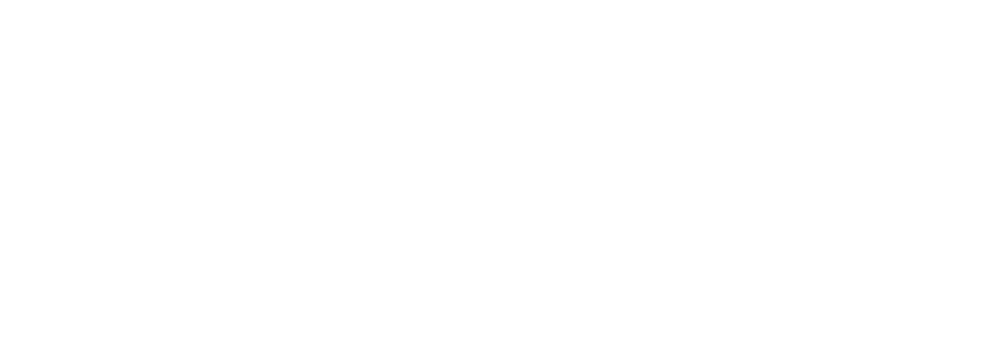 Partner 1